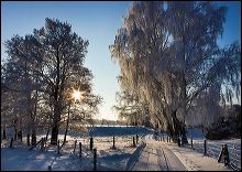 landskap_vinter_moll_2da0af