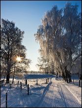 landskap_vinter_moll_2da0b0