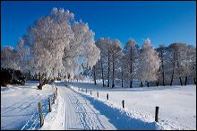 landskap_vinter_mollegard_6