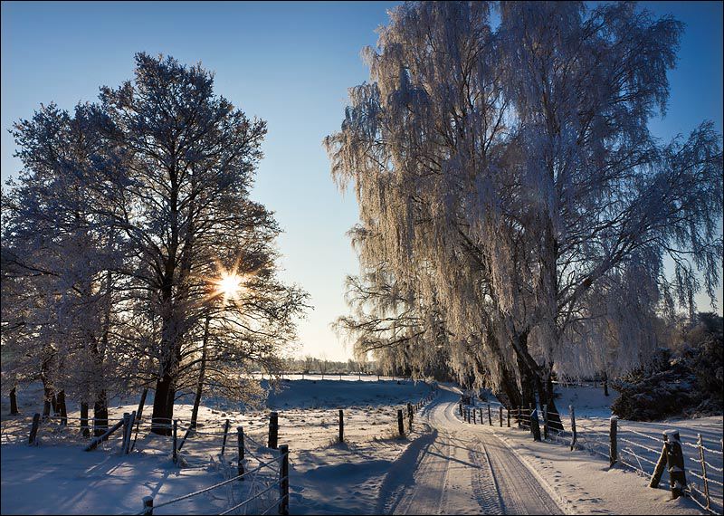 landskap_vinter_moll_2da0af.jpg