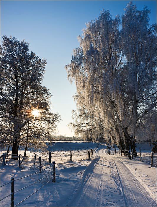 landskap_vinter_moll_2da0b0.jpg