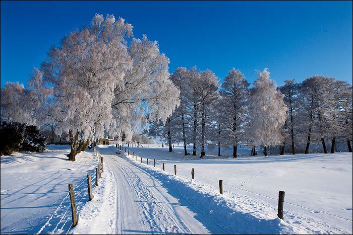 landskap_vinter_mollegard_6.jpg